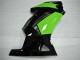 Nero Verde Carrozzeria & Carena Kawasaki EX250 08-12