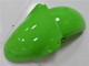 Verde Kits Carene Completa Kawasaki ZX6R 00-02